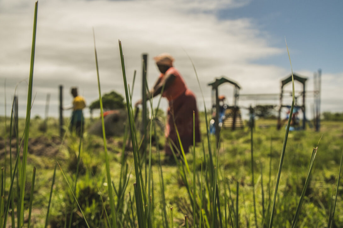 Landwirt*innen von Bulungula in Südafrika bewirtschaften ihr Feld.