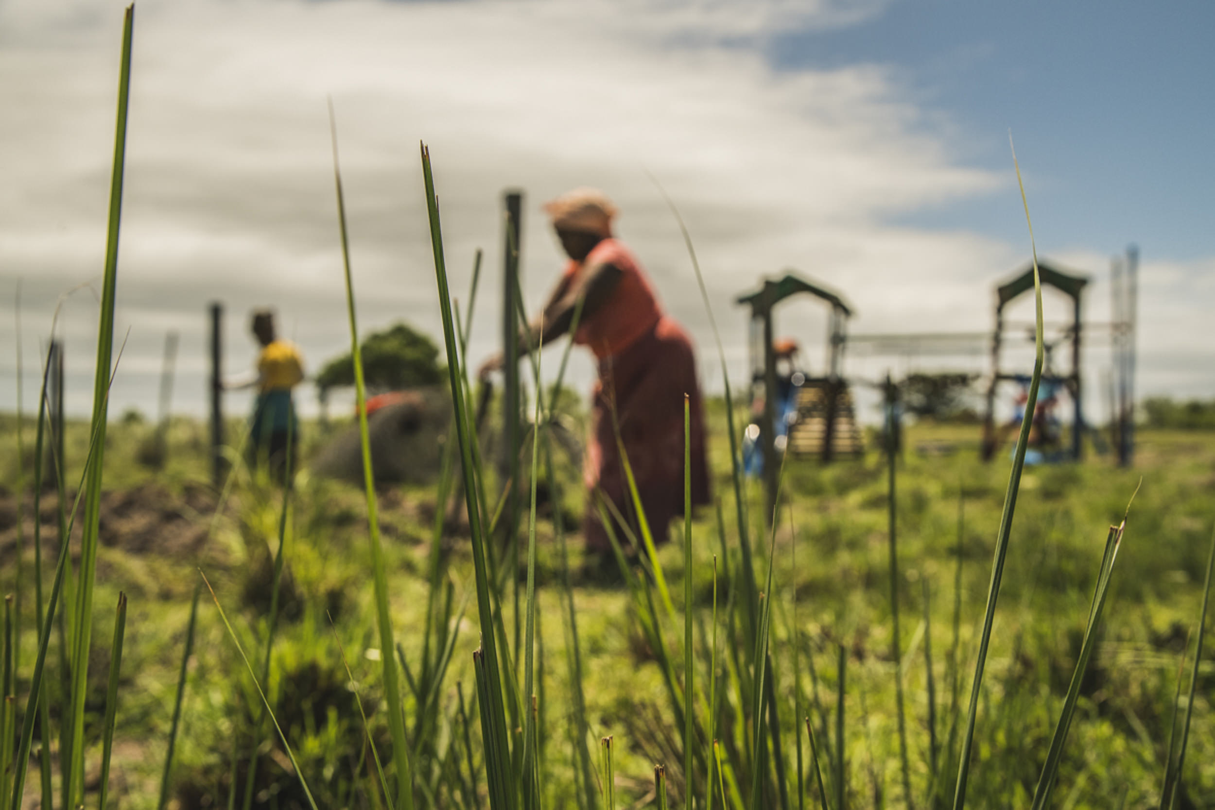 Landwirtschaftliche Arbeit auf dem Feld.