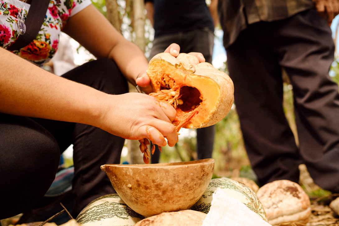 Kürbiskerne werden von einer Teilnehmerin von HST in Mexiko aus einem Kürbis entnommen.