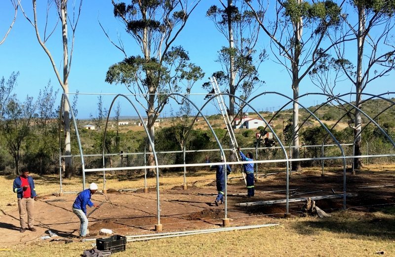 men setting up a tunnel at the neceduluntu community centre