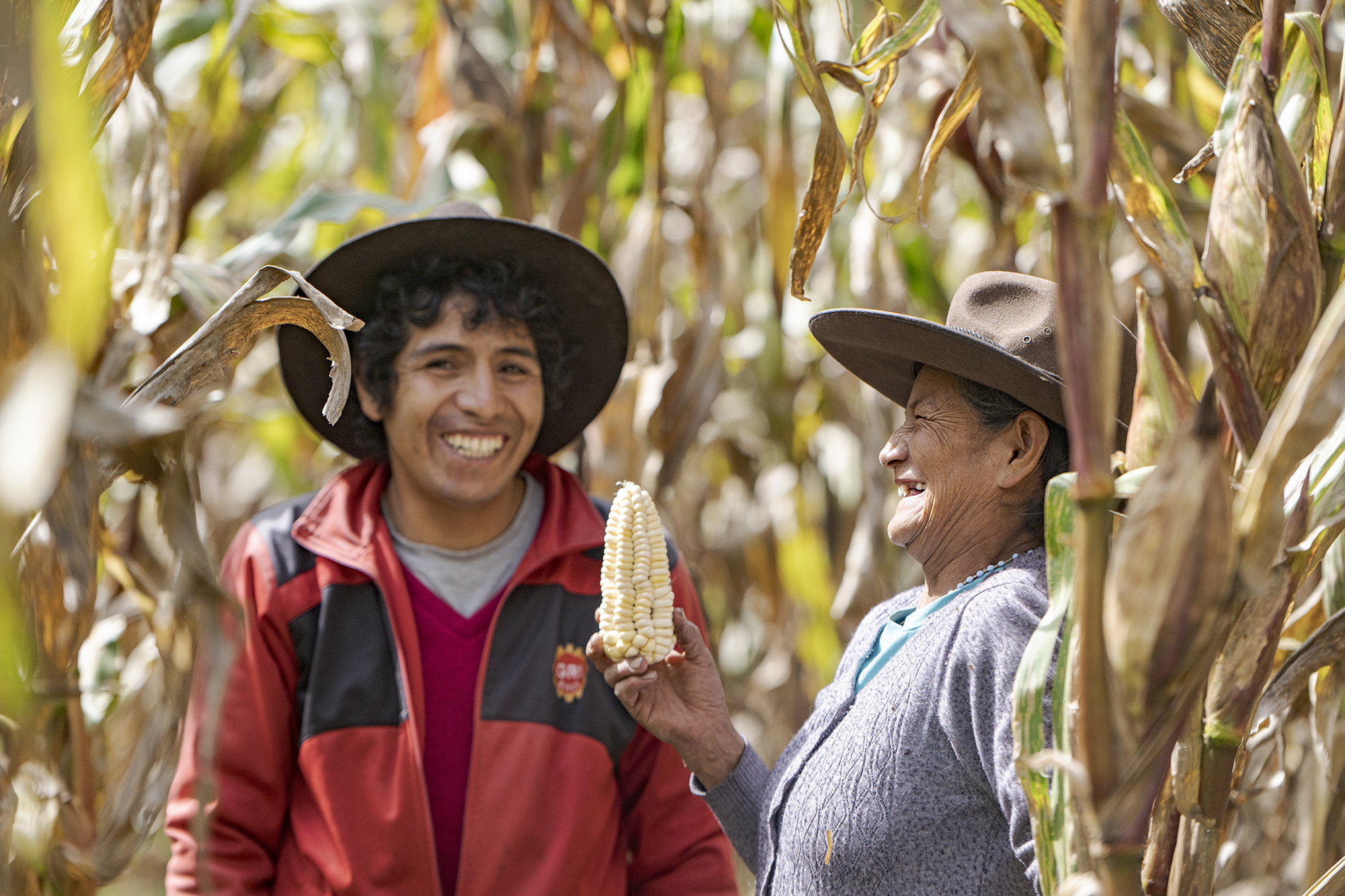 Hermenegilda Sota und ihr Sohn, Projektteilnehmende von CEDEP Ayllu präsentieren ihre Ernte auf ihrem Maisfeld.