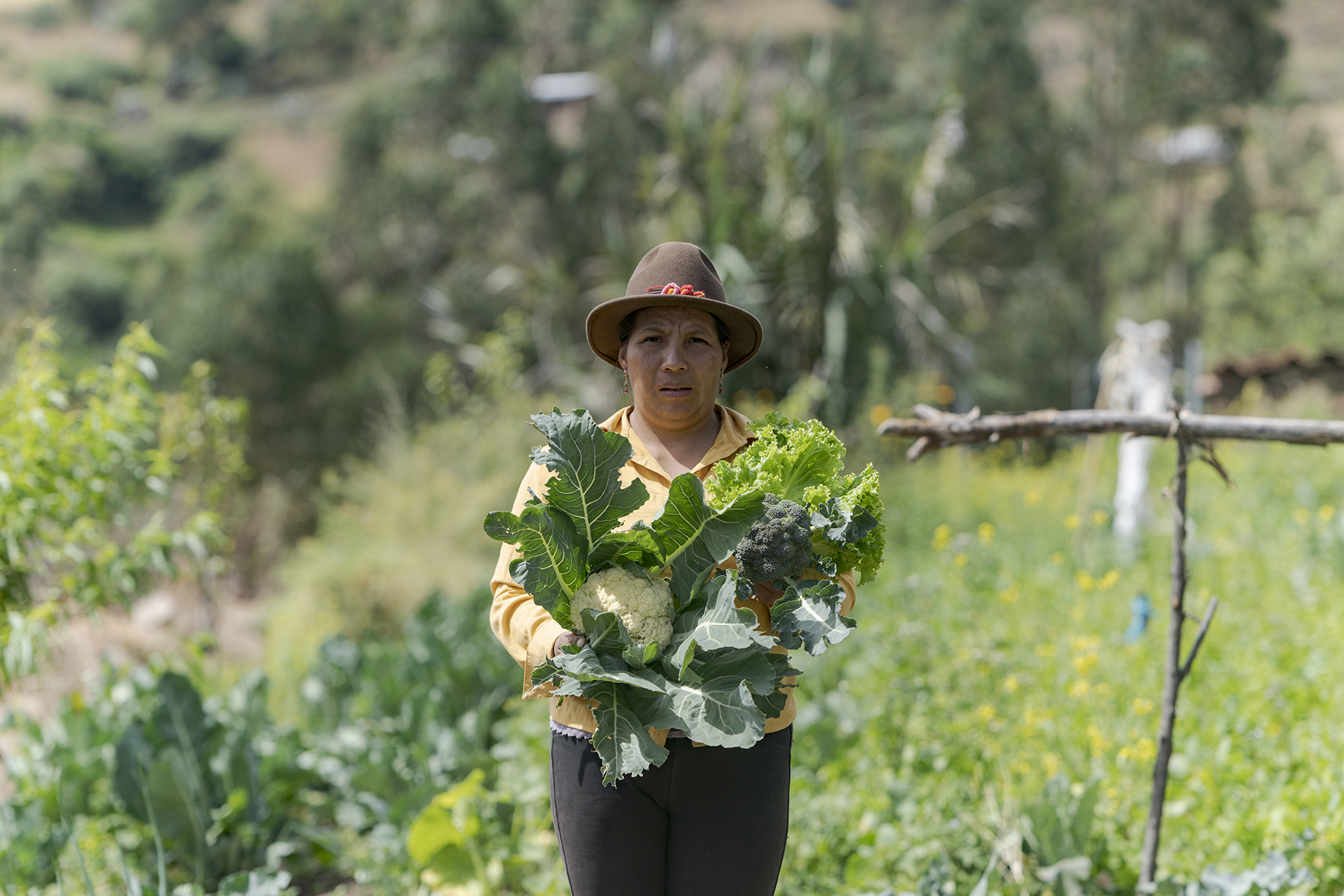 Eine Teilnehmerin von CEDEP AYLLU in Peru präsentiert geernteten Blumenkohl und Brokkoli.
