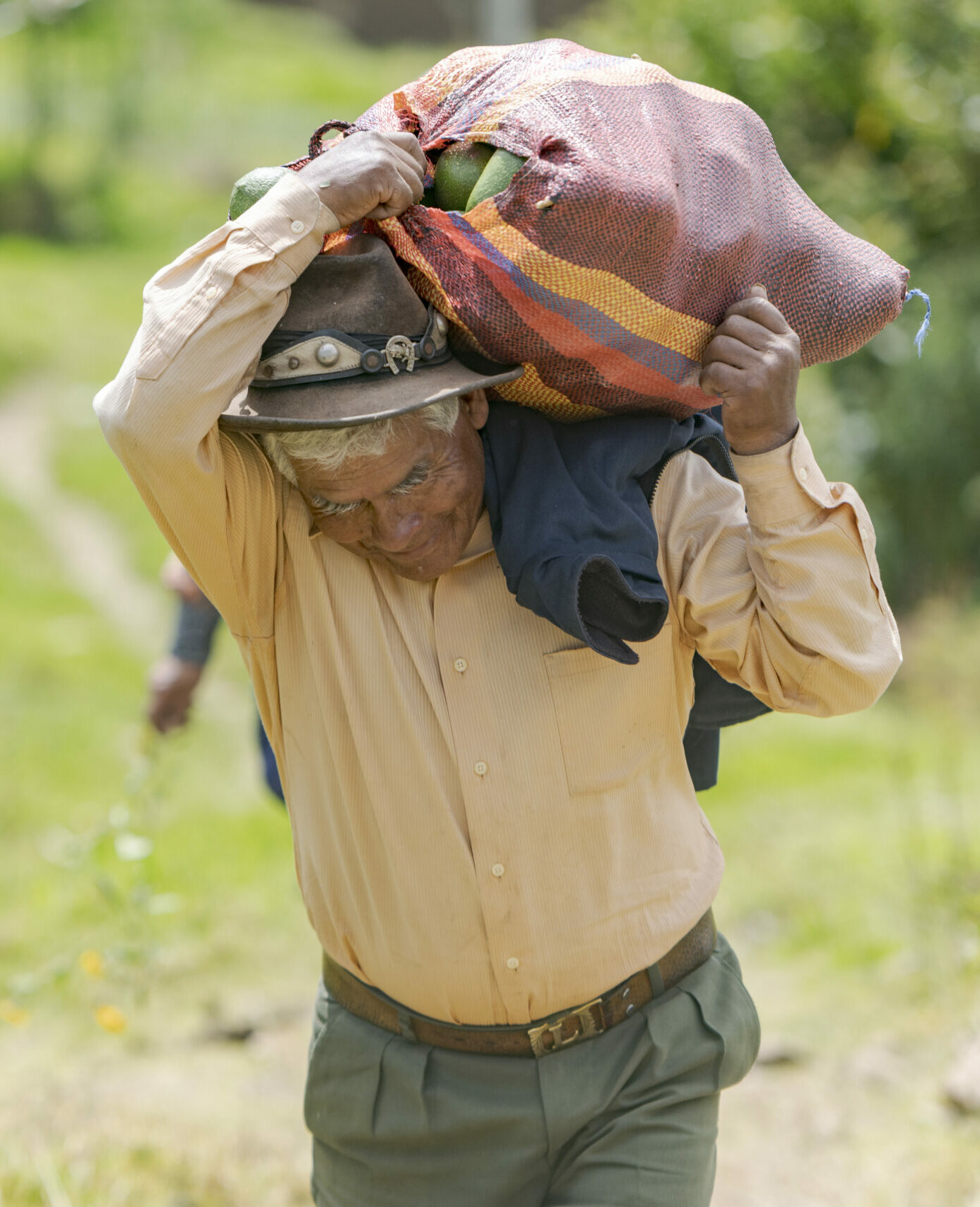 Ein teilnehmender Landwirt von CEDEP AYLLU trägt Obst auf seiner Schulter.